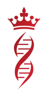 LOGO-02